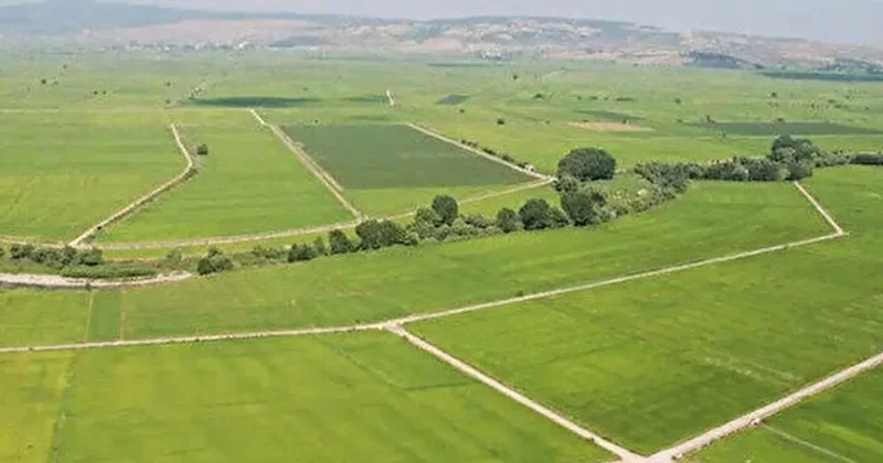 Arsası olanlar dikkat... 1 Eylül de başlayacak, bakanlık kiraya verecek