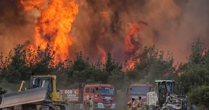 Tekirdağ orman yangını: Alevler Gelibolu ya da sıçradı, otoyol kapatıldı