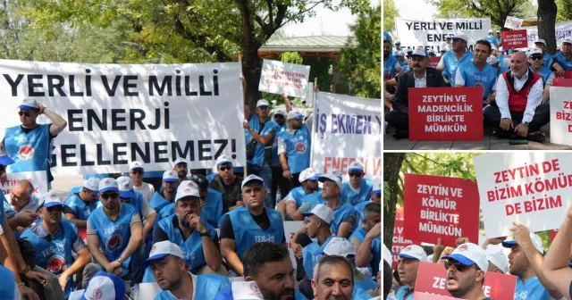 Milaslı muhtarlar ve TES İŞ’ten Maden Yasası na destek: Köylerimiz ve zeytinlerimiz yok olmayacak Muğla Haberleri