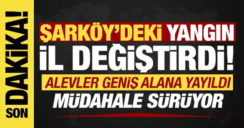 20. saate girildi: Tekirdağ daki yangın geniş alana yayıldı! Müdahale sürüyor