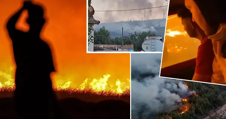 Orman yangınlarıyla mücadele Tekirdağ daki orman yangını Çanakkale ye sıçradı