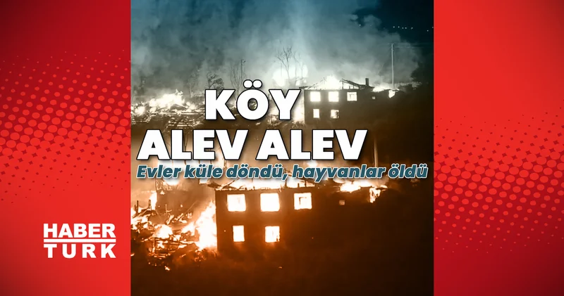 Son dakika: Bolu da köyde büyük yangın! Evler küle döndü, hayvanlar öldü Son dakika haberleri