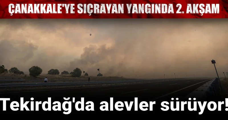 Tekirdağ dan Çanakkale ye sıçrayan orman yangın devam ediyor!