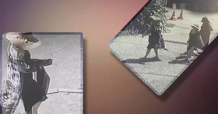 İstanbul un göbeğinde akılalmaz soygun! Tatilci gibi gelip ünlü profesörün evinde yarım milyonluk vurgun yaptılar