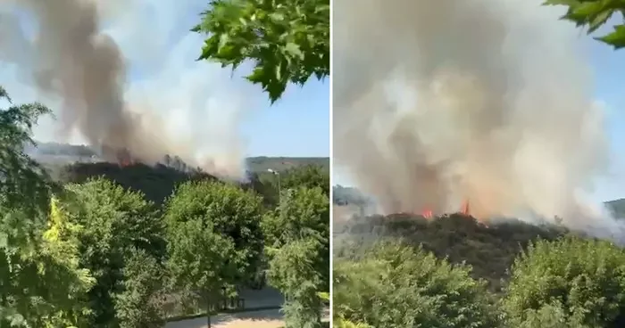 Son dakika haberi Sultangazi Kent Ormanı nda korkutan yangın: Çok sayıda itfaiye ekibi bölgeye sevk edildi