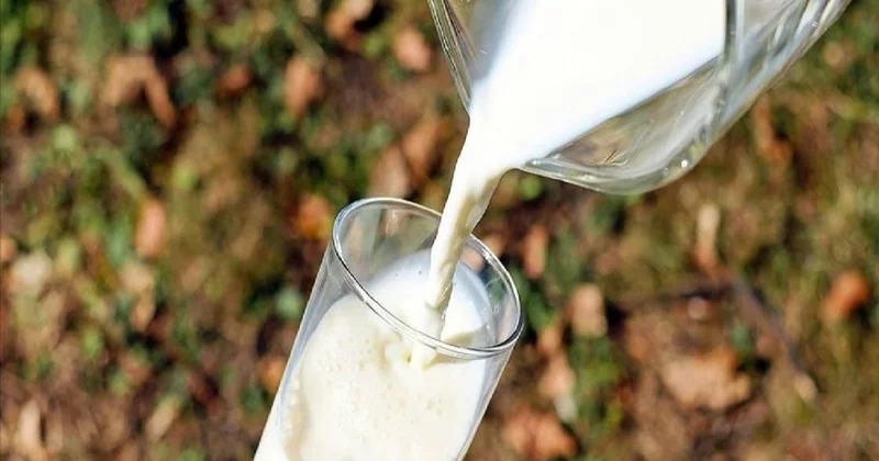 Çiğ inek sütü tavsiye satış fiyatı belirlendi