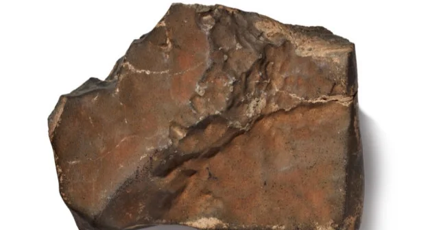 Mars kökenli Meteorit, tarihin en yüksek fiyatına alıcı buldu Hayat Haberleri
