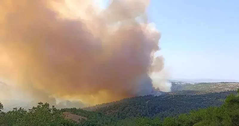 Balıkesir de orman yangını