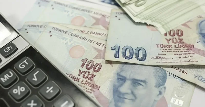 Temmuz ayı Sosyal ve Ekonomik Destek ödemeleri hesaplara yatırıldı