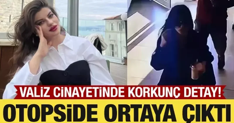 Valiz cinayetinde korkunç detaylar: Ayşe yi döverek öldürmüş!