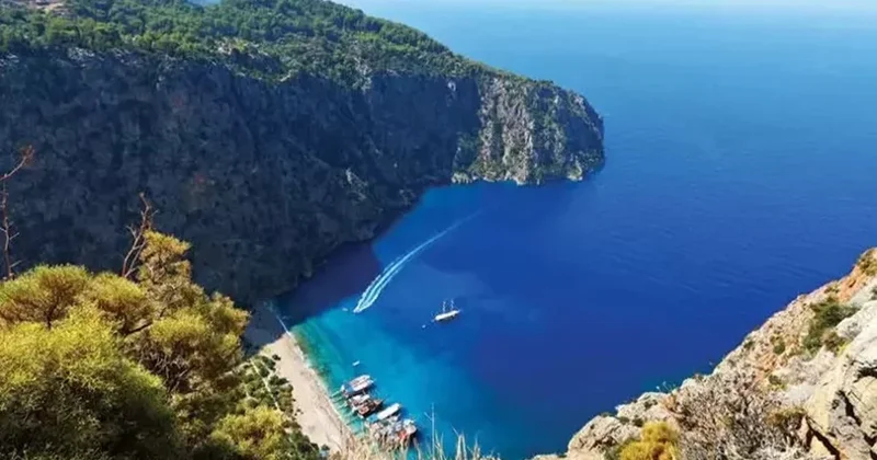 İktidara zeytinlikler yetmedi, sıra sit alanlarına geldi Sözcü Gazetesi
