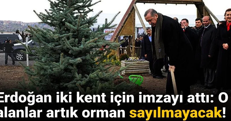 Erdoğan iki kent için imzayı attı: O alanlar artık orman sayılmayacak!