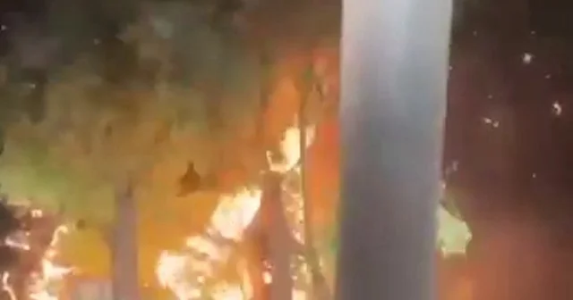 Hayvanları kurtarmak için alevlerin içine daldı: Ateşin içindeyim siz gelmeyin VİDEO İZLE