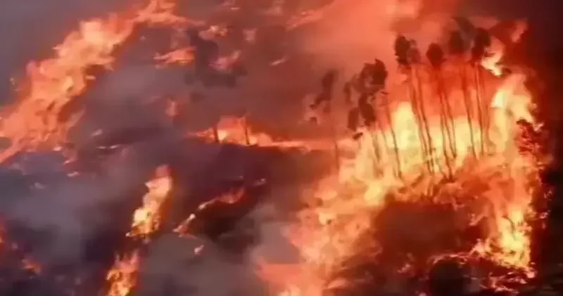 Orman yangınlarıyla mücadele eden Portekiz de 1 kişi yaşamını yitirdi