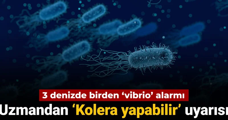 3 denizde birden ‘vibrio’ alarmı: Uzmandan ‘Kolera yapabilir’ uyarısı