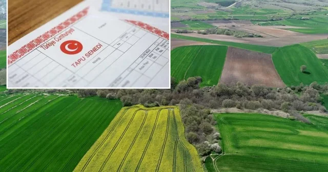 Tapu sahiplerine Son 15 gün uyarısı: Başvuru yapmayan hakkını kaybedecek Ekonomi Haberleri
