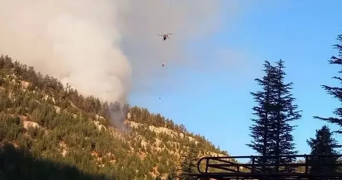 Karaman Valiliği: Orman yangınına 137 personel ve 3 helikopterle müdahale ediliyor