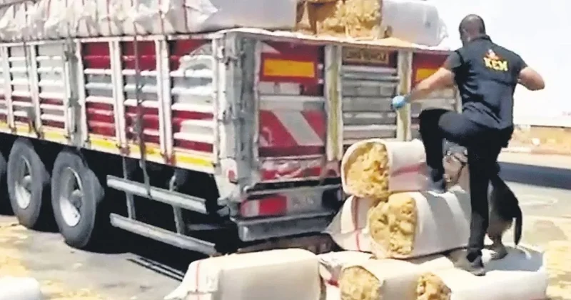 Zehir tacirlerine geçit yok
