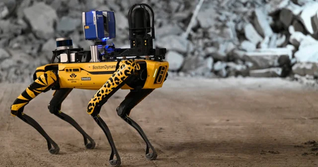 Hong Kong da chikungunya virüsünü kontrol altına almak için robot köpekler kullanılacak Teknoloji Haberleri