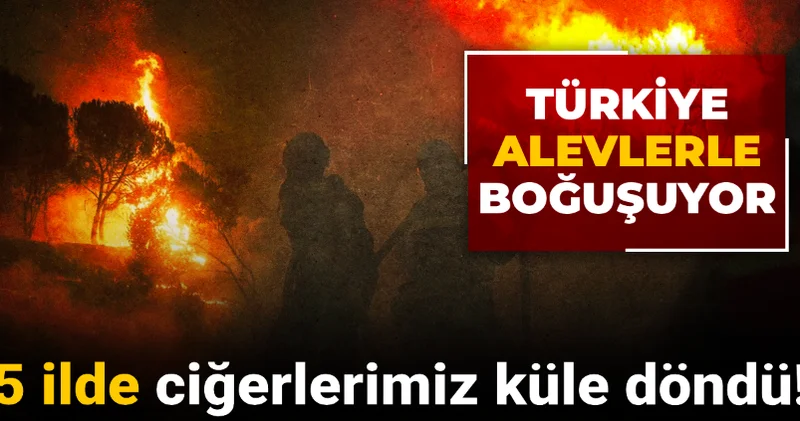 5 ilde ciğerlerimiz küle döndü! Türkiye alevlerle boğuşuyor