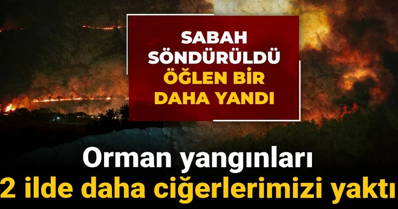 Orman yangınları 2 ilde daha ciğerlerimizi yaktı: Sabah söndürüldü öğlen bir daha yandı
