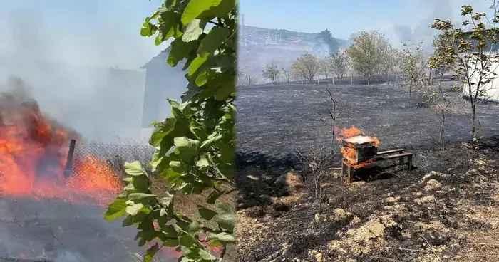 Karmürsel den sonra Kandıra da... Yerleşim yerinde başlayan yangın korkuttu!