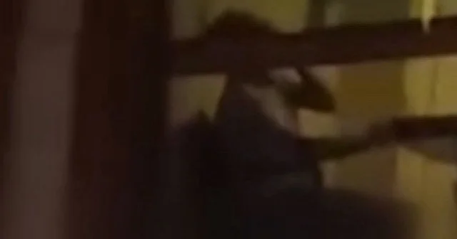 Beylikdüzü’nde evin balkonunda uyuşturucu kullanan şahıslar kamerada VİDEO İZLE