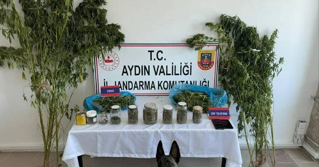 Evinde uyuşturucuyla yakalanıp, tutuklandı Aydın Haberleri