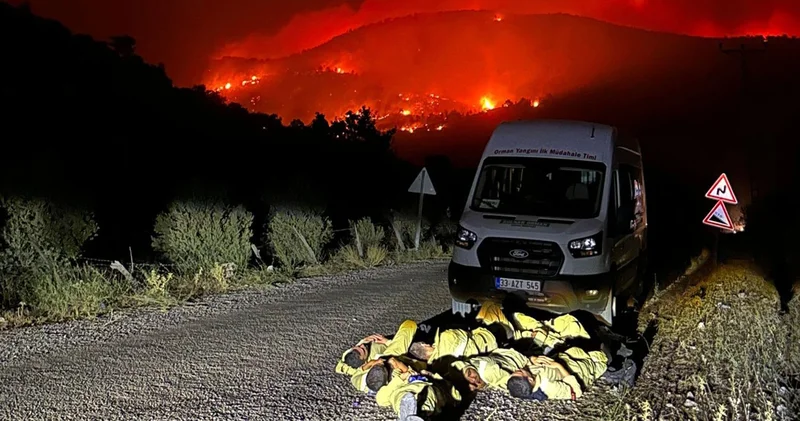 15 bin dönüm orman küle döndü! Mersin deki yangının çıkış nedeni belli oldu
