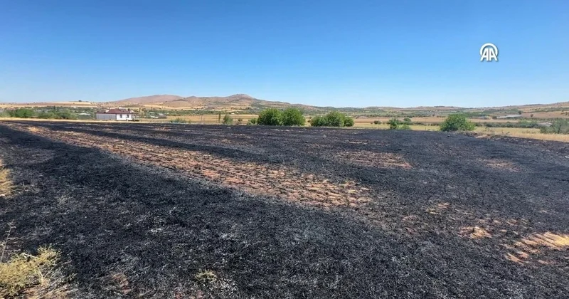 Elazığ da anızda çıkıp ağaçlık alana sıçrayan yangın söndürüldü Sözcü Gazetesi