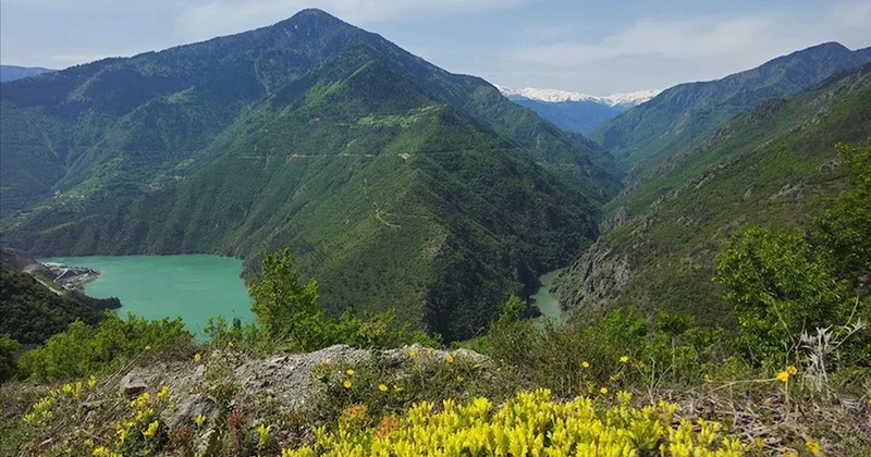 Karadeniz in en sağlıklı şehri belli oldu Sözcü Gazetesi