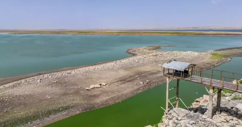 Fotoğraflar arasındaki zaman farkı hayrete düşürdü! Kısa sürede yok olma tehlikesi altında