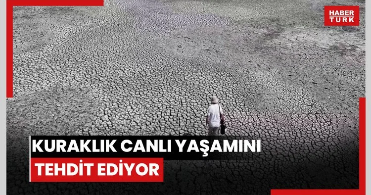 Devegeçidi Baraj Gölündeki kuraklık canlı yaşamını tehdit ediyor