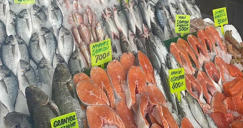 Ege de balık bereketi; lüfer bile ağlara takıldı
