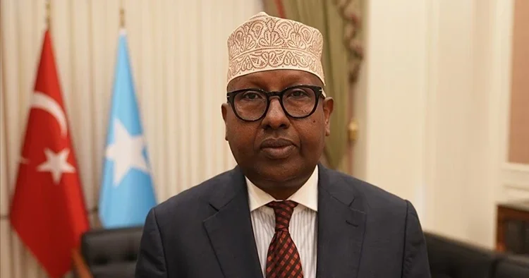 Somali Savunma Bakanı Fiqi den Türkiye ye övgü dolu sözler