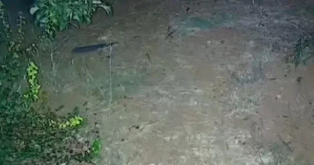 Elazığ patlama sesi SON DAKİKA Elazığ’da sonik patlama panik yaratmıştı: Gizemli sesin nedeni belli oldu VİDEO İZLE