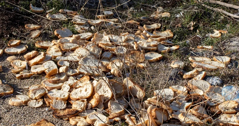 En çok israf eden üçüncü ülkeyiz, kişi başı 103 kilo gıda çöpte!