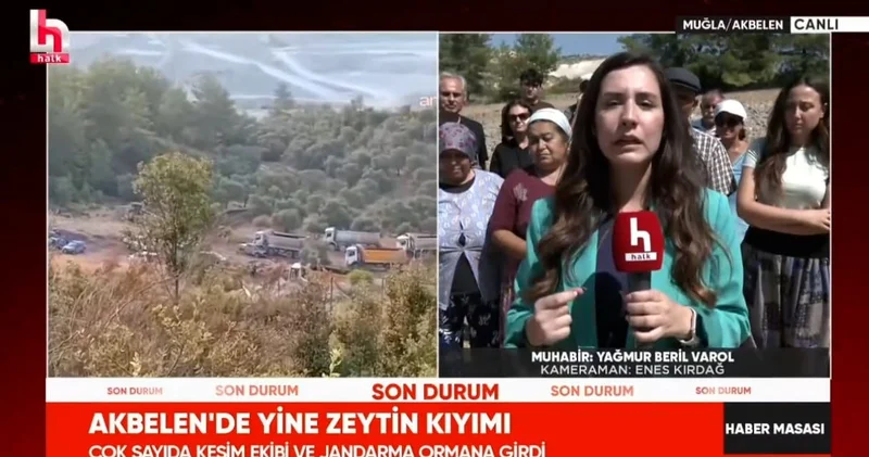 İşte tek cümle ile Akbelen gerçeği! Kalan ağaçlar jandarma gölgede dursun diye kesilmedi