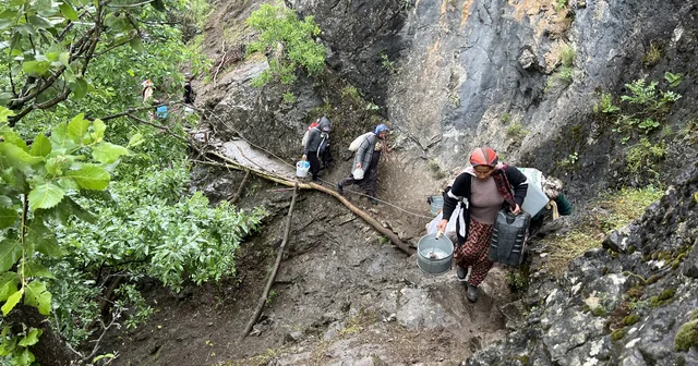 Yüksekova da berivanların zorlu yayla yolculuğu başladı Hakkari Haberleri