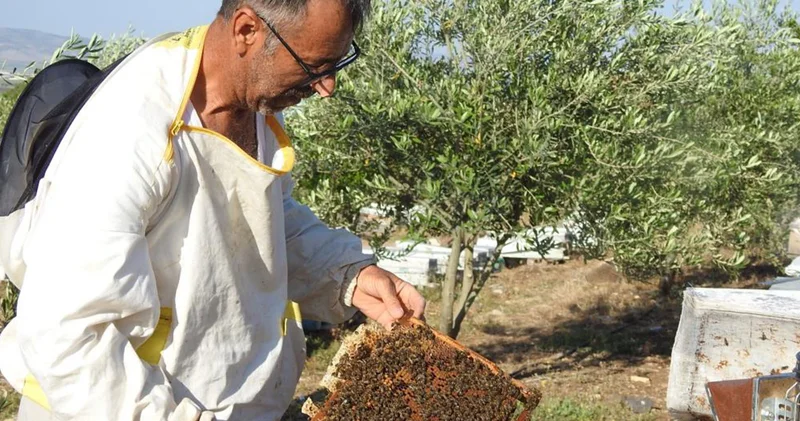 Doktorun annesine bal tavsiyesi hayatını değiştirdi; 2 arıyla başladı, yılda 2 ton bal üretiyor
