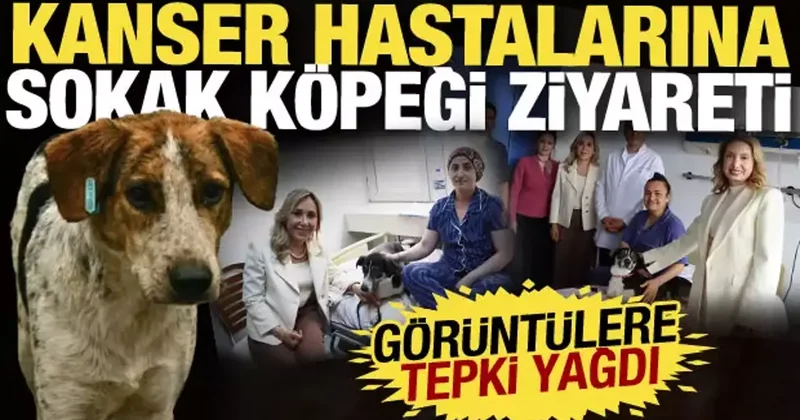 Kanser hastalarına sokak köpeği ziyareti tepki çekti