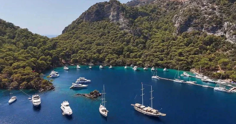 Fethiye de kaplumbağalar için müzik yasağı