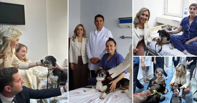 AK Parti milletvekili Tuba Vural Çokal ameliyat olmuş hastaları köpeklerle ziyaret etti: Milletin tepkisini yok saydılar Gündem Haberleri