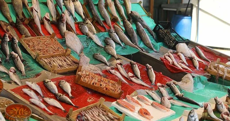 Sadece Omega 3 deposu değil, bu balıklar derde derman! Sözcü Gazetesi
