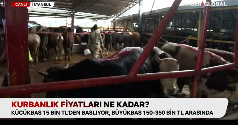 Kurbanlık fiyatları ne kadar?