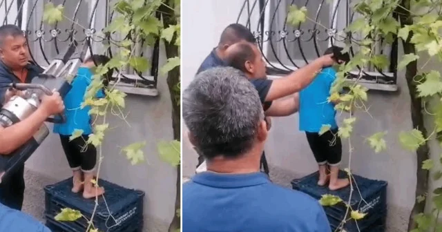 Başını korkuluğa sıkıştırdı: İtfaiye ekipleri küçük çocuğu kurtardı Osmaniye Haberleri