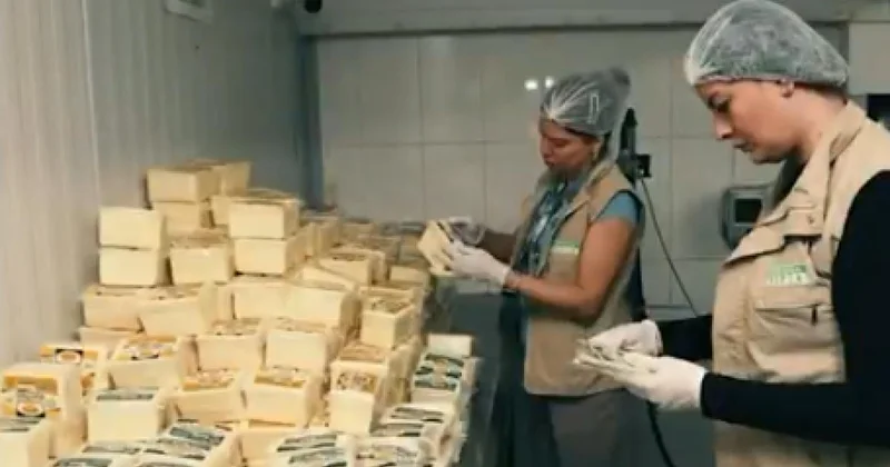 Ankara da insan sağlığını tehdit eden 40 ton ürünün satışı engellendi