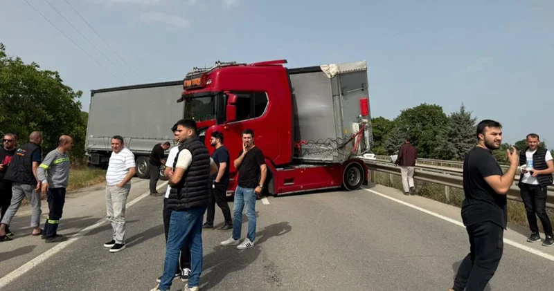 İstanbul Bursa karayolunda trafiğe arı engeli!