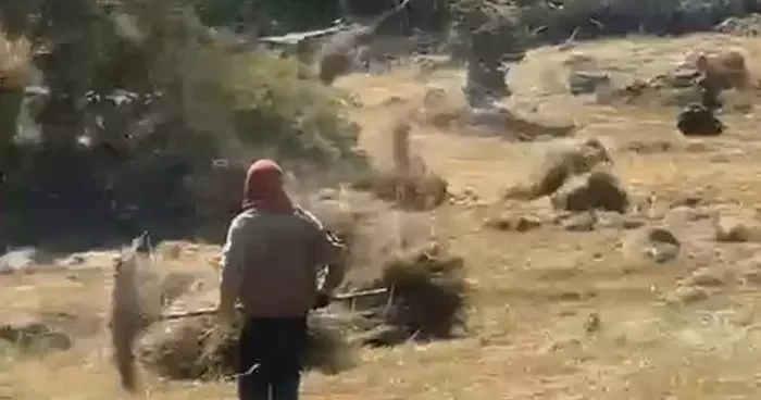 Bingöl’de hortum otları uçurdu