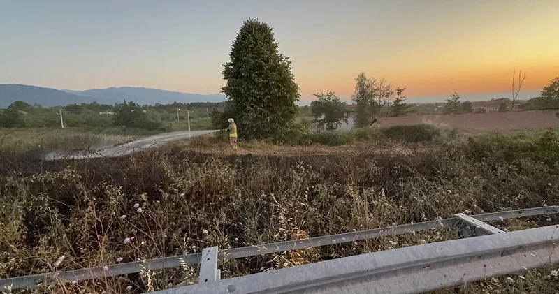 Yol kenarına atılan izmarit otları yaktı